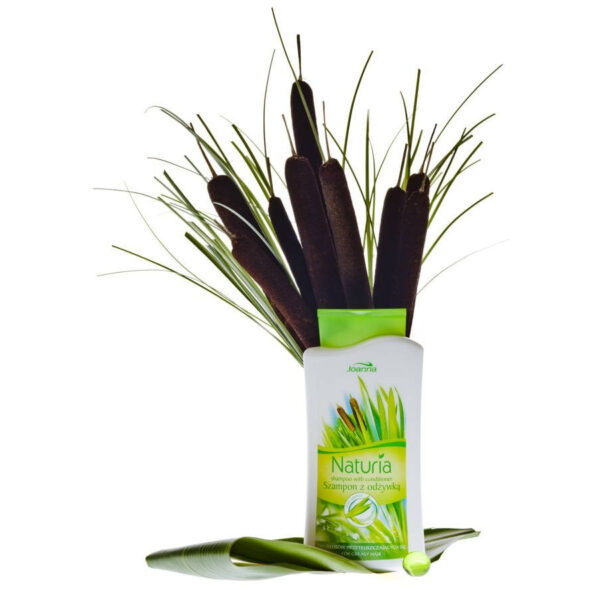 Joanna Naturia Szampon do włosów 2w1 500ml tatarak