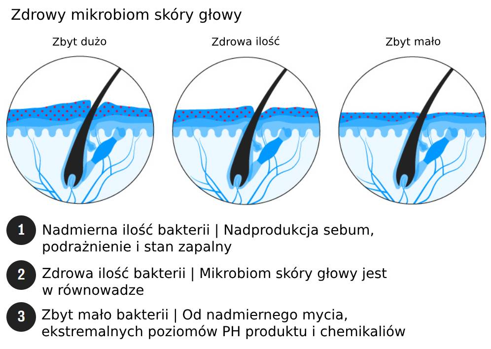 zdrowy mikrobiom skóry głowy