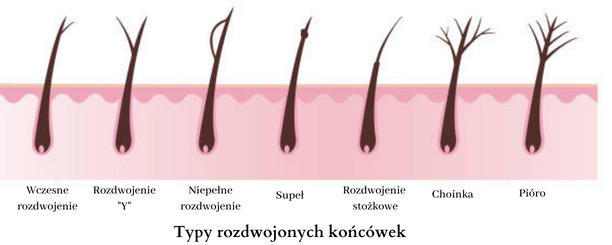 rodzaje rozdwojonych końcówek