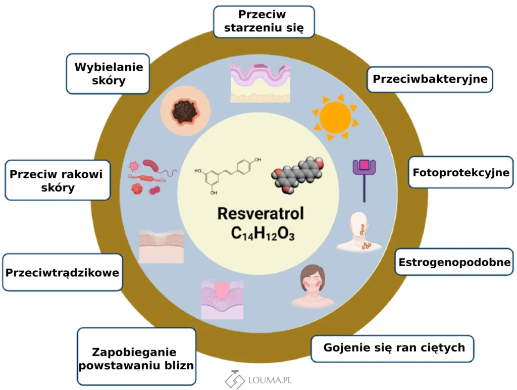 resweratrol właściwości