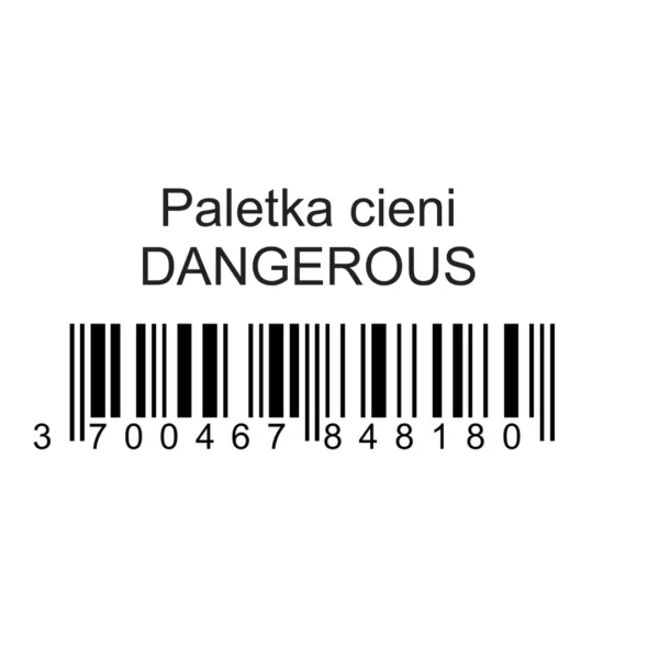 Pierre René Professional paletka cieni Dangerous, 8×1,3 g