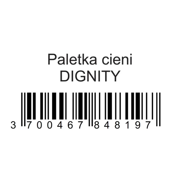 Pierre René Professional paletka cieni Dignity, 8×1,3 g