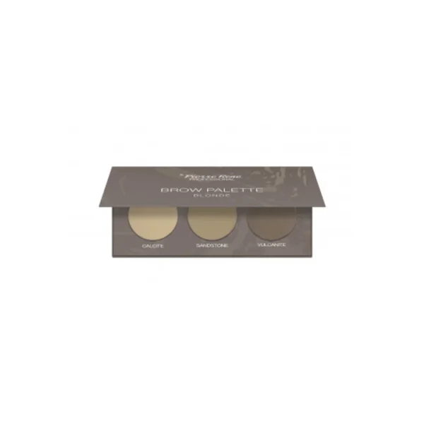 Pierre Rene Professional Brow Palette Blonde paletka do brwi 01, 9,3 g